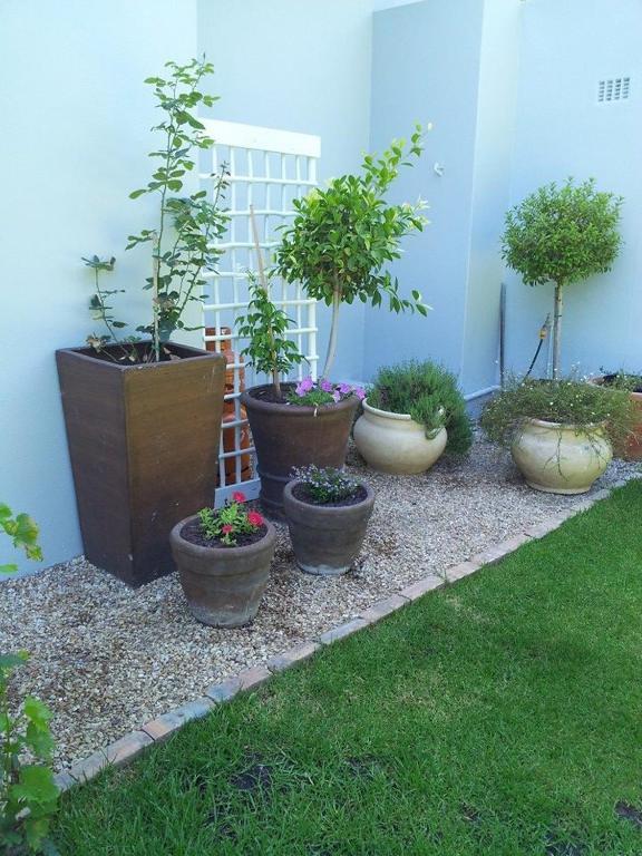 Oak Village B&B Municipalità locale di Municipalità locale di Stellenbosch Esterno foto