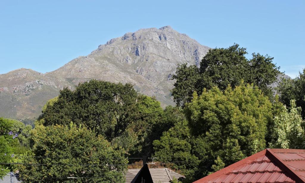 Oak Village B&B Municipalità locale di Municipalità locale di Stellenbosch Camera foto